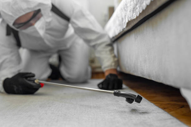 Professional Ant Control technician working in Levittown, NY